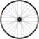 Quality Wheels DT 350/DT XM481 Rear Wheel - 29", 12 x 157mm, 6-Bolt, XD, Black