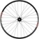 Quality Wheels DT 350/DT XM481 Rear Wheel - 29", 12 x 157mm, 6-Bolt, Micro Spline, Black