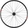 Quality Wheels DT 350/DT XM481 Rear Wheel - 29", 12 x 157mm, 6-Bolt, Micro Spline, Black