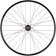 Stan's Arch S2 Rear Wheel - 29", 12 x 142mm, 6-Bolt, XDR, 32H