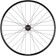 Stan's Arch S2 Rear Wheel - 29", 12 x 148mm, 6-Bolt, XDR