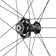 Campagnolo Shamal Dual Profile Front Wheel - 700c, 12 x 100mm, Center-Lock, 2-Way Fit, Carbon