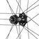 Campagnolo Shamal Dual Profile Rear Wheel - 700c, 12 x 142mm, Center-Lock, HG11-R, 2-Way Fit, Carbon
