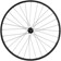 Quality Wheels Value Double Wall Series Disc Rear Wheel - 650b, QR x 135mm, Center-Lock, HG10, Black, 28H