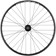 Quality Wheels WTB Road Plus Rear Wheel - 650b, QR x 135, Center-Lock, HG 10, Black








    
    

    
        
        
        
            
                (30%Off)
            
        
    
