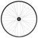 Stan's Arch MK4 LTD Front Wheel - 29, 15 x 100mm, 6-Bolt, Black