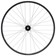 Stan's Arch MK4 LTD Rear Wheel - 29", 12 x 142mm, 6-Bolt, HG11, 32H
