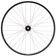 Stan's Arch MK4 LTD Front Wheel - 29, 15 x 110mm, 6-Bolt, Black