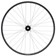 Stan's Arch MK4 LTD Front Wheel - 29, 15 x 110mm, 6-Bolt, Black