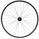 Stan's Arch MK4 LTD Rear Wheel - 29", 12 x 148mm, 6-Bolt, XDR, 32H