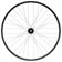 Stan's Flow MK4 LTD Rear Wheel - 29", 12 x 148mm, 6-Bolt, XDR, 32H