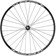 Quality Wheels Shimano Tiagra/Weinmann U28 Front Wheel - 700c, 12 x 100mm, Center-Lock, Black