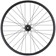 Quality Wheels Bear Pawls / Other Brother Darryl Rear Wheel - 26" Fat, 12 x 197mm, 6-Bolt, HG 11 MTN, Black, 32H