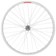 Sta-Tru Double Wall Rear Wheel - 24", Bolt-On, 3/8 x 135mm, Freewheel, Silver