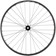 Quality Wheels Bear Pawls / WTB ST i30 Front Wheel - 27.5", 15 x 110mm, Center-Lock, Black
