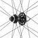 Campagnolo SHAMAL Carbon Disc Rear Wheel - 700, 12 x 100mm/12 x 142mm, Centerlock, N3W, Black






