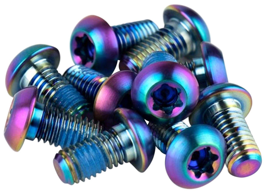 SRAM Titanium T25 Rotor Bolt Kit - Rainbow, Set of 12 