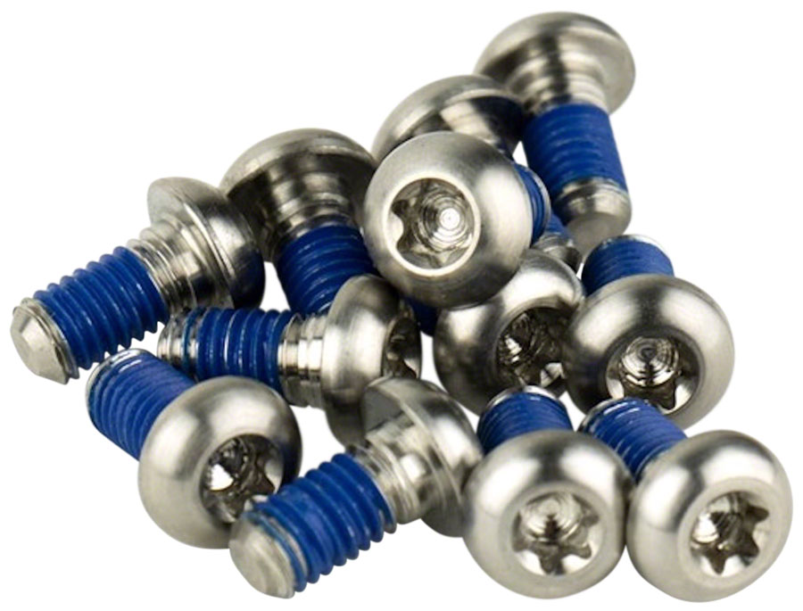 SRAM Titanium T25 Rotor Bolt Kit - Silver, Set of 12 