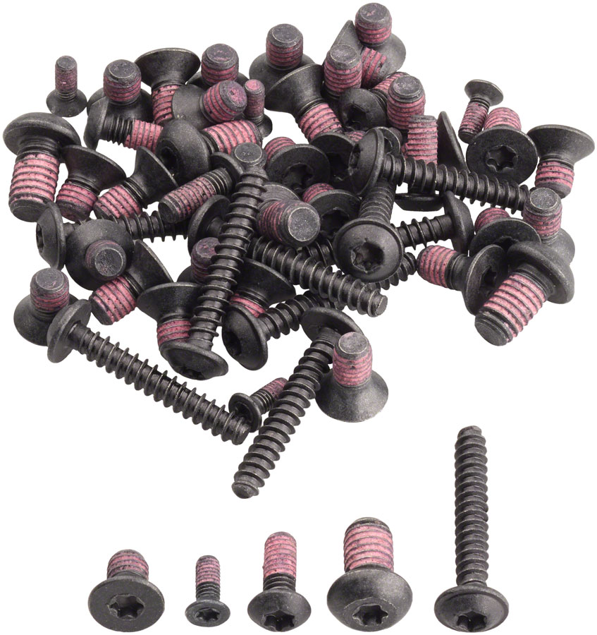 Bosch Screw Kit for ABS (BAS33YY)