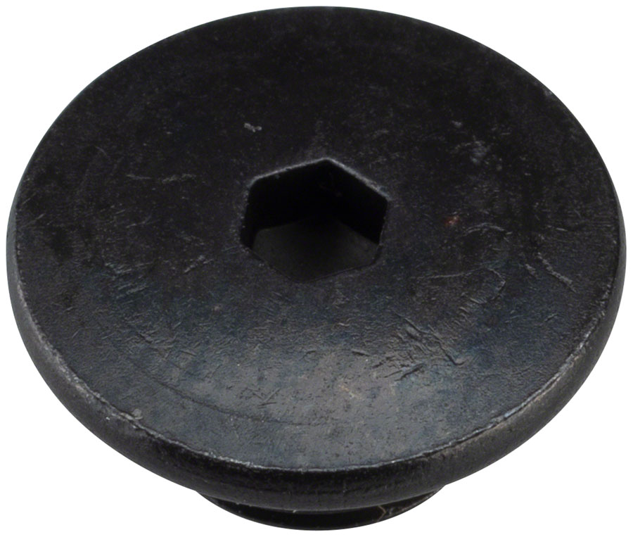 Shimano 105 ST-R7020 Hydraulic Brake/Shifter Bleed Screw and O-Ring 