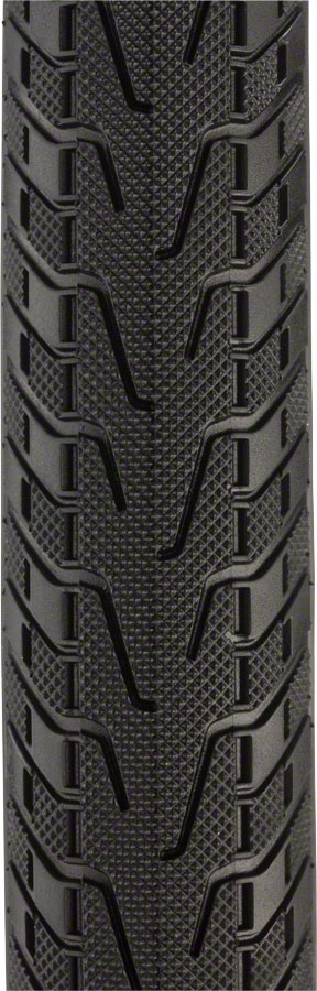 Panaracer Pasela Protite 700x25 Standard Tire main image 1