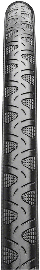 Continental Grand Prix 4-Season Tire - 700 x 23, Clincher, Folding, Black Edition, Vectran Breaker, DuraSkin 