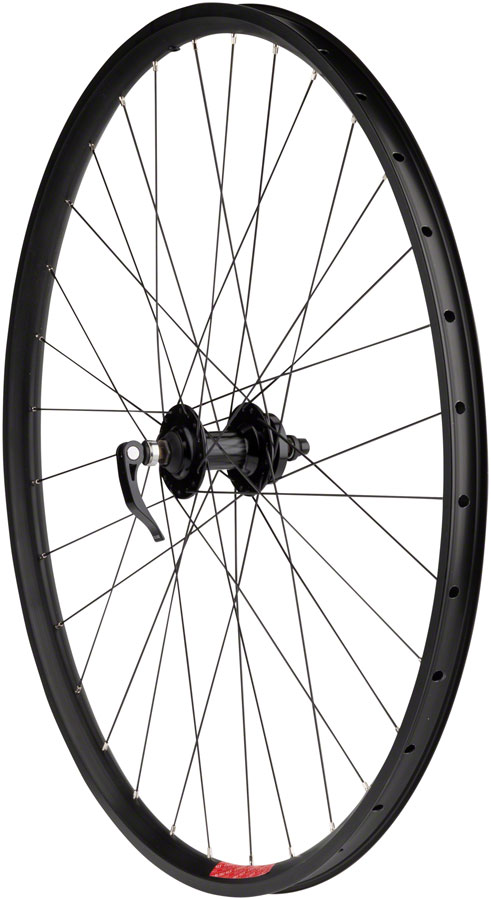 Sta-Tru Double Wall Front Wheel - 29", QR, 9 x 100mm, Disc Brake, Black, 25i