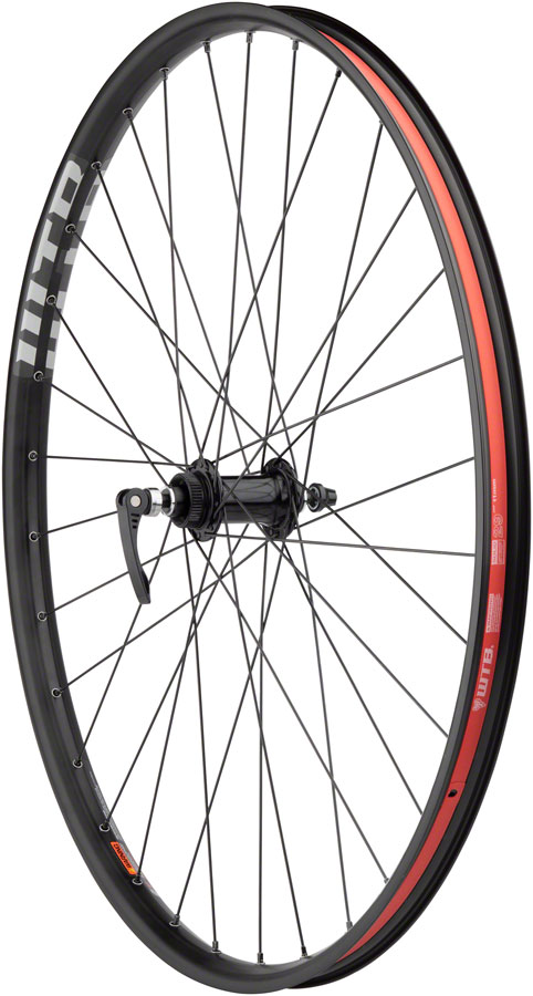 Quality Wheels Bear Pawls / WTB ST i30 Front Wheel - 29", 15 x 100, Center-Lock, Black