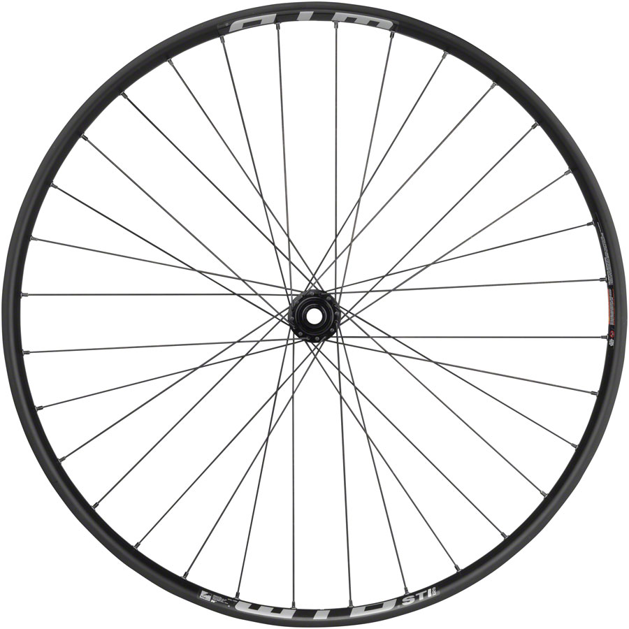Quality Wheels Bear Pawls / WTB ST i30 Front Wheel - 29", 15 x 110mm, Center-Lock, Black
