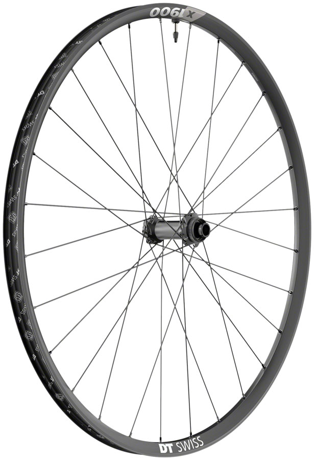 DT Swiss X 1900 Spline 25 Front Wheel - 29", 15 x 110mm, Center-Lock, Black 