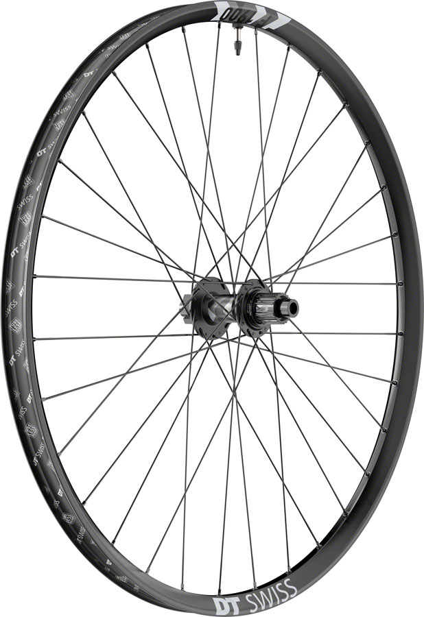 DT Swiss F 1900 Classic Rear Wheel - 29", 12 x 148mm, 6-Bolt, Micro Spline, Ratchet LN 18, Black