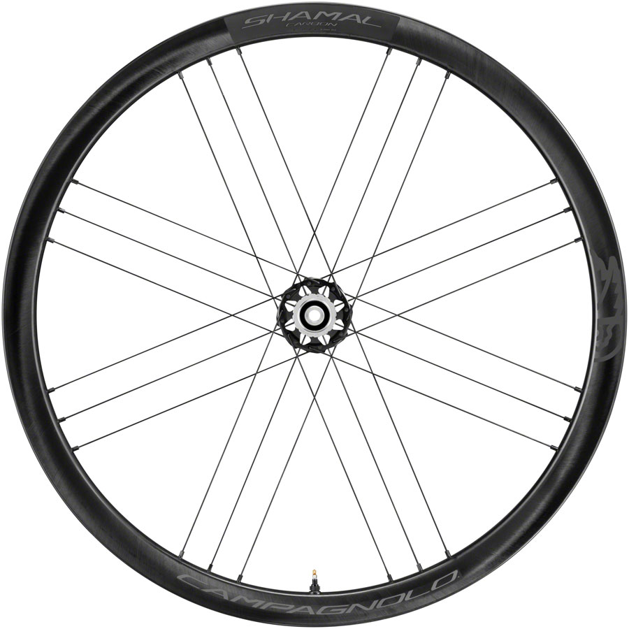 Campagnolo SHAMAL Carbon Disc Front Wheel - 700, 12 x 100mm, Centerlock, Black






