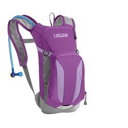 CamelBak Mini M.U.L.E. 50oz Purple Cactus Flower